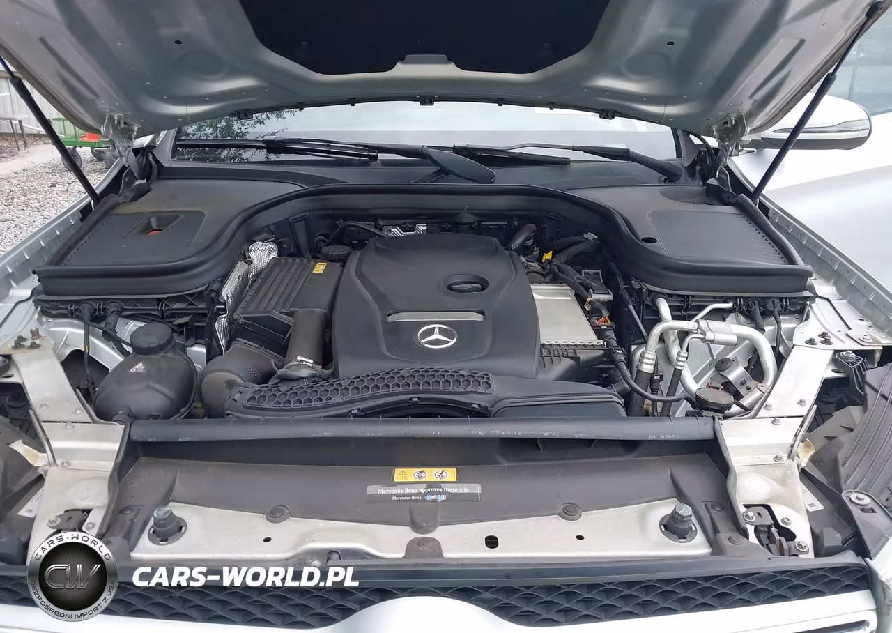 2017 Mercedes-Benz Glc 300 VIN:WDC0G4JB9HF116884 - 10