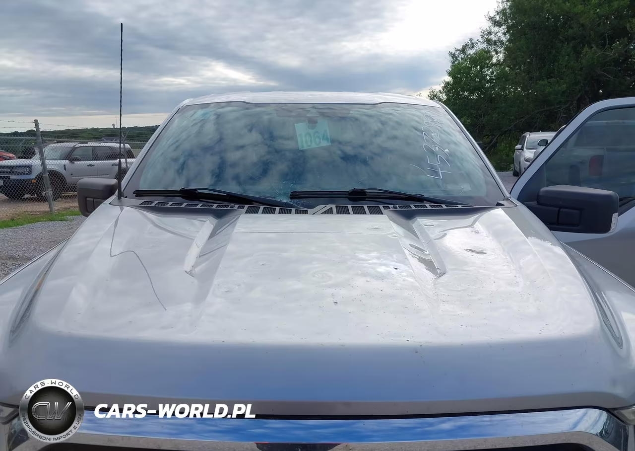 2021 Ford F-150 Xlt VIN:1FTFW1E53MFB68723 - 6