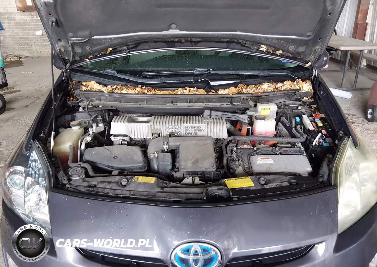 2010 Toyota Prius Iv VIN:JTDKN3DUXA0016409 - 10
