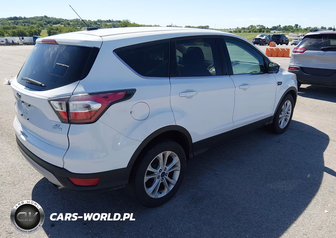 2017 Ford Escape Se VIN:1FMCU0GDXHUA54688 - 4