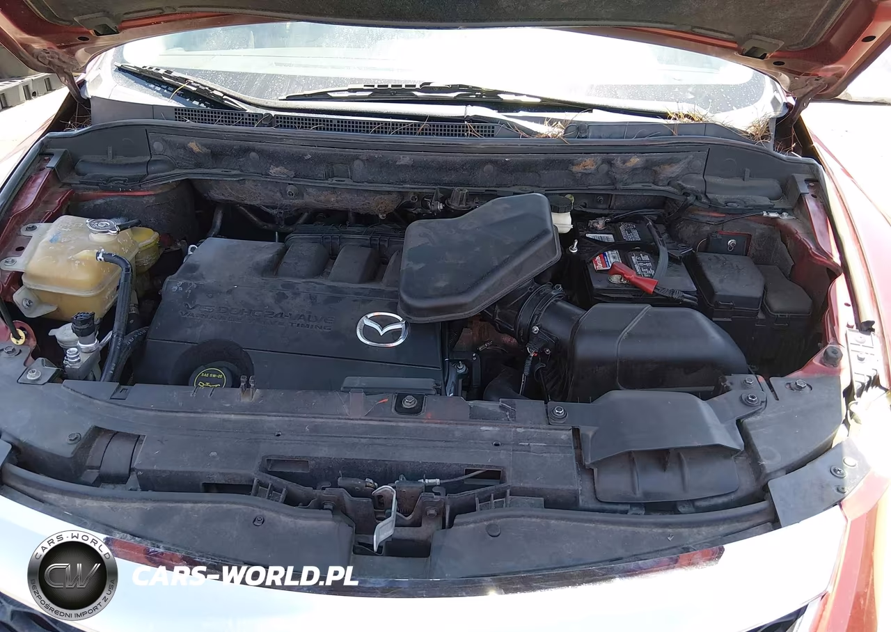 2010 Mazda Cx-9 Touring VIN:JM3TB2MV4A0215110 - 10