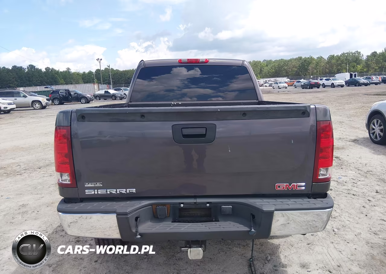 2010 GMC Sierra 1500 Sl VIN:3GTRCUEA9AG109593 - 17