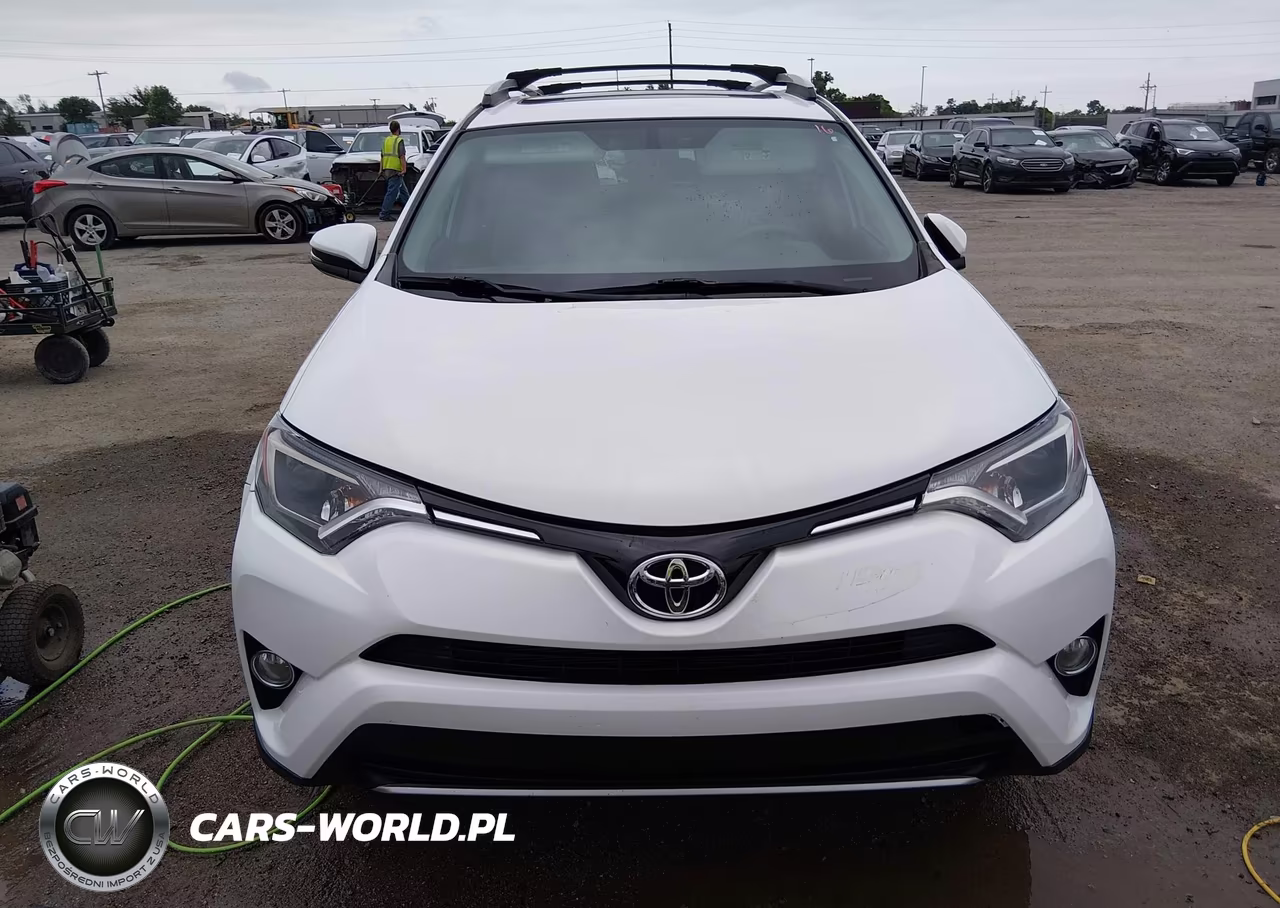 2016 Toyota Rav4 Xle VIN:2T3RFREV3GW437074 - 12