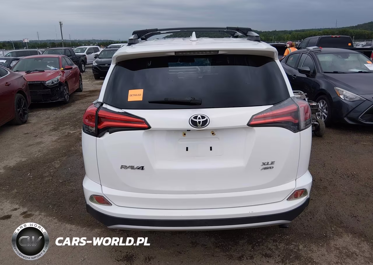 2016 Toyota Rav4 Xle VIN:2T3RFREV3GW437074 - 16