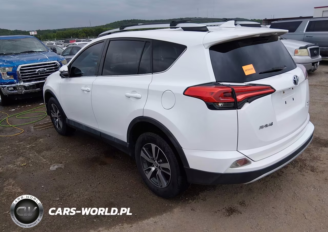 2016 Toyota Rav4 Xle VIN:2T3RFREV3GW437074 - 3