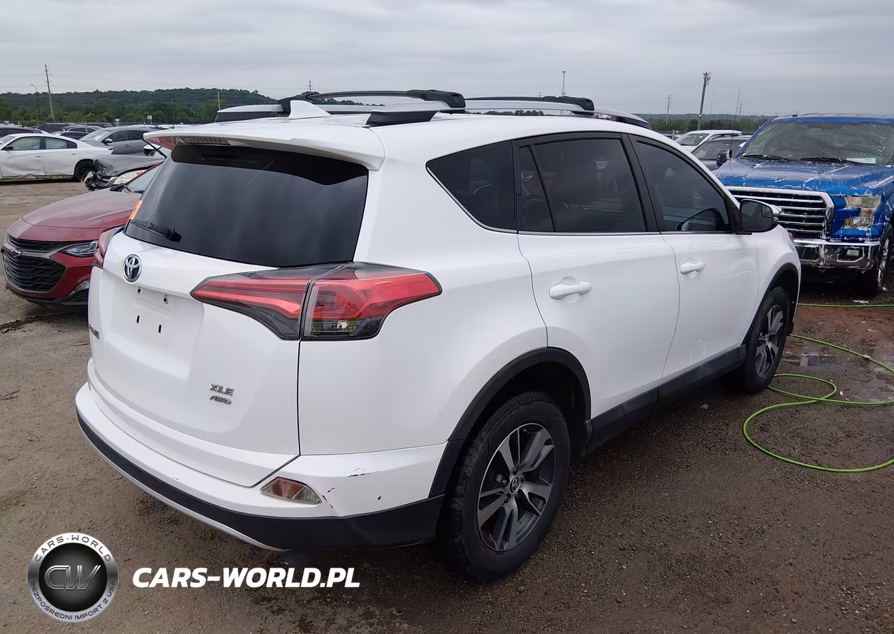 2016 Toyota Rav4 Xle VIN:2T3RFREV3GW437074 - 4