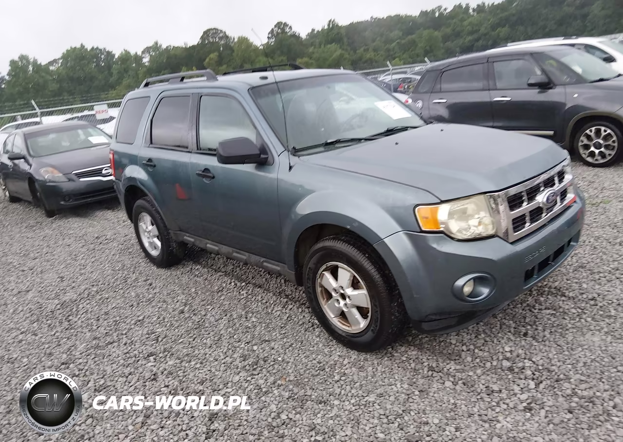 2010 Ford Escape Xlt