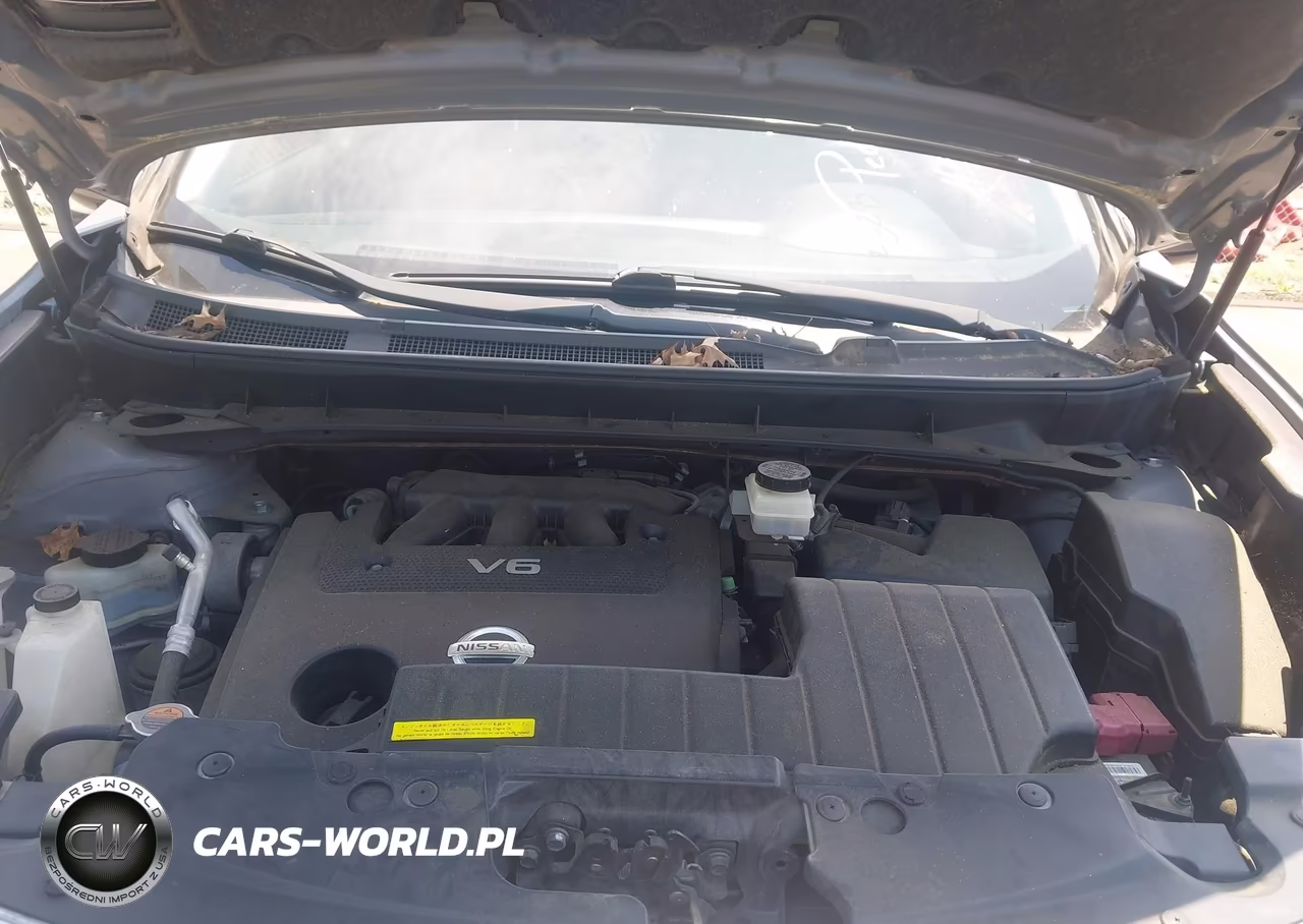 2010 Nissan Murano Le VIN:JN8AZ1MW4AW136617 - 10