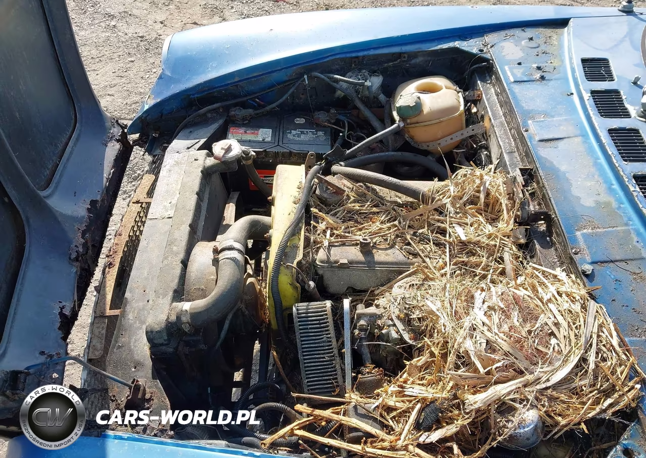 1970 Fiat Spyder VIN:124BS0022355 - 10