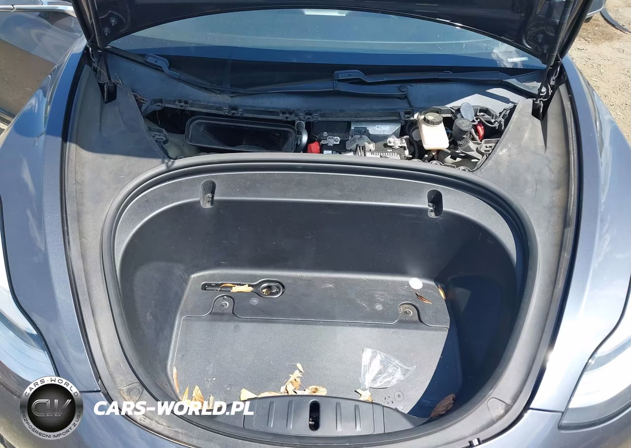 2020 Tesla Model 3 Performance Dual Motor All-Wheel Drive VIN:5YJ3E1EC0LF623633 - 10