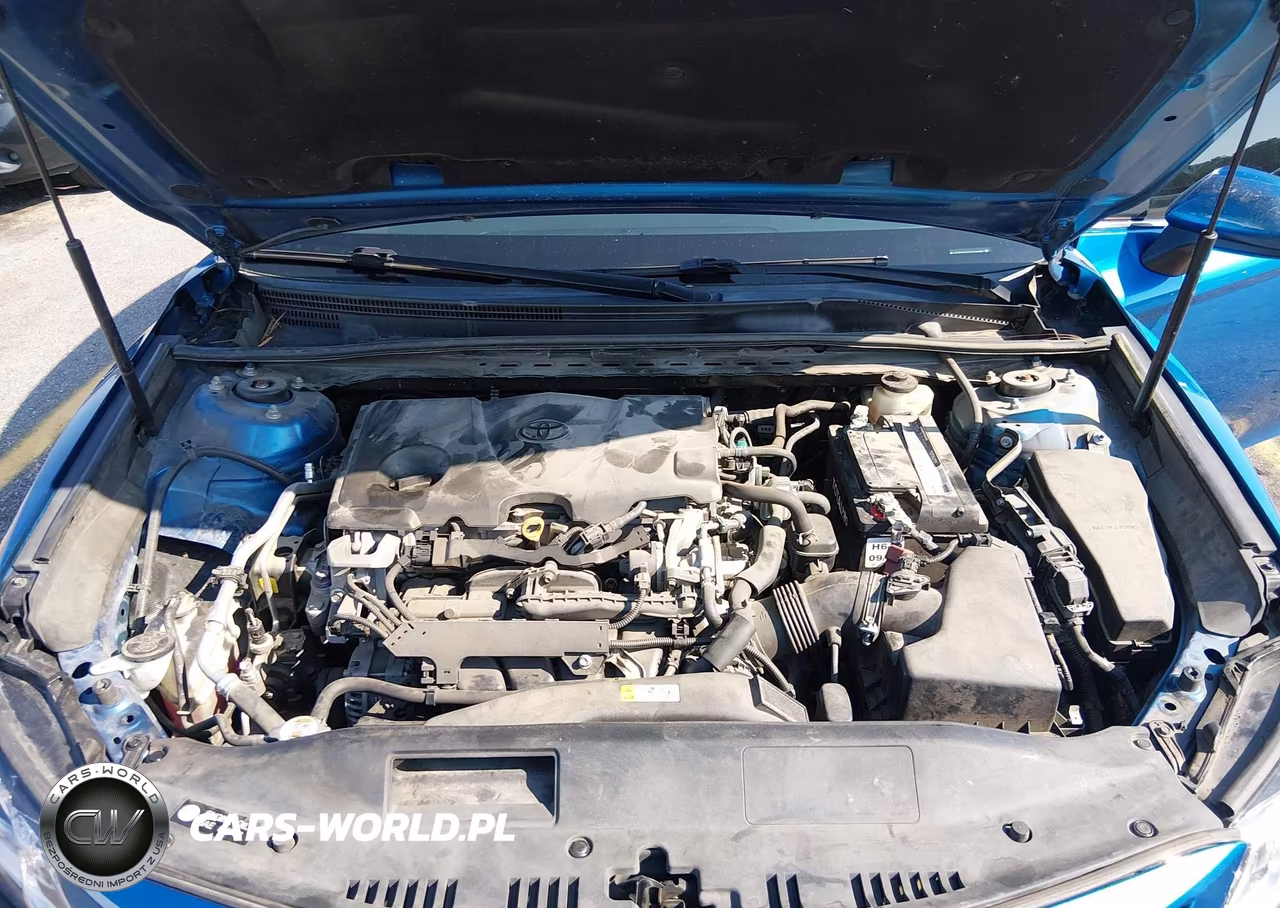 2018 Toyota Camry Se VIN:4T1B11HK1JU129999 - 10