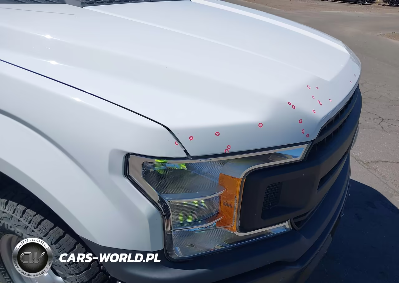 2020 Ford F-150 Xl VIN:1FTEW1EB9LKF21151 - 12