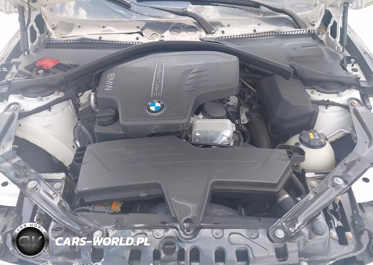 2015 BMW 428I xDrive VIN:WBA3T1C50FP820738 - 10