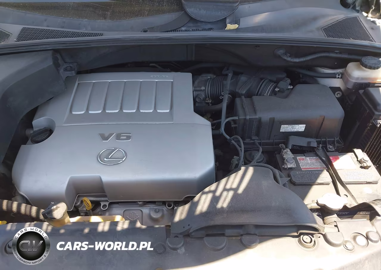 2007 Lexus Rx 350 VIN:JTJGK31U670006064 - 10