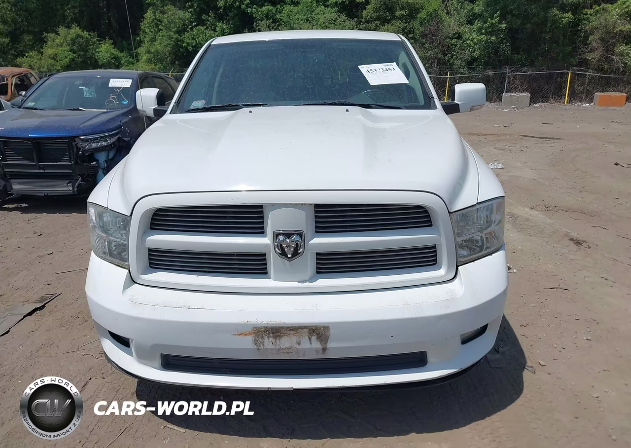 2010 Dodge Ram 1500 Slt-Sport-Trx VIN:1D7RV1CT6AS177801 - 12