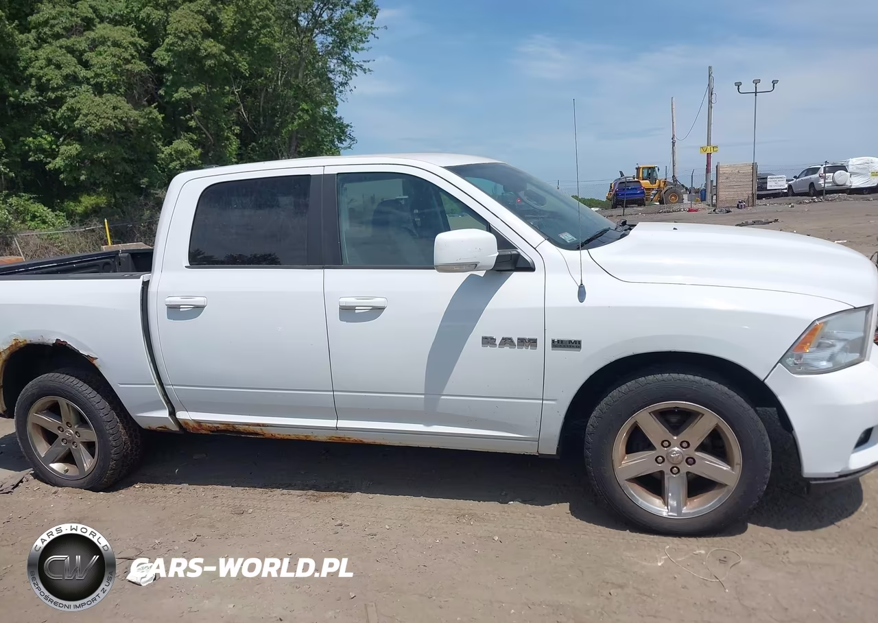 2010 Dodge Ram 1500 Slt-Sport-Trx VIN:1D7RV1CT6AS177801 - 13
