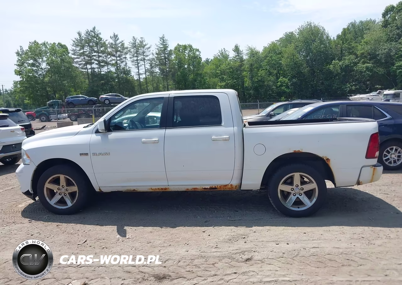 2010 Dodge Ram 1500 Slt-Sport-Trx VIN:1D7RV1CT6AS177801 - 14