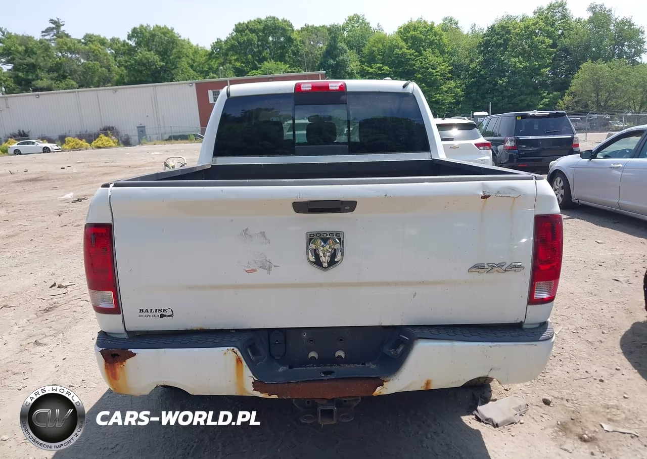 2010 Dodge Ram 1500 Slt-Sport-Trx VIN:1D7RV1CT6AS177801 - 16