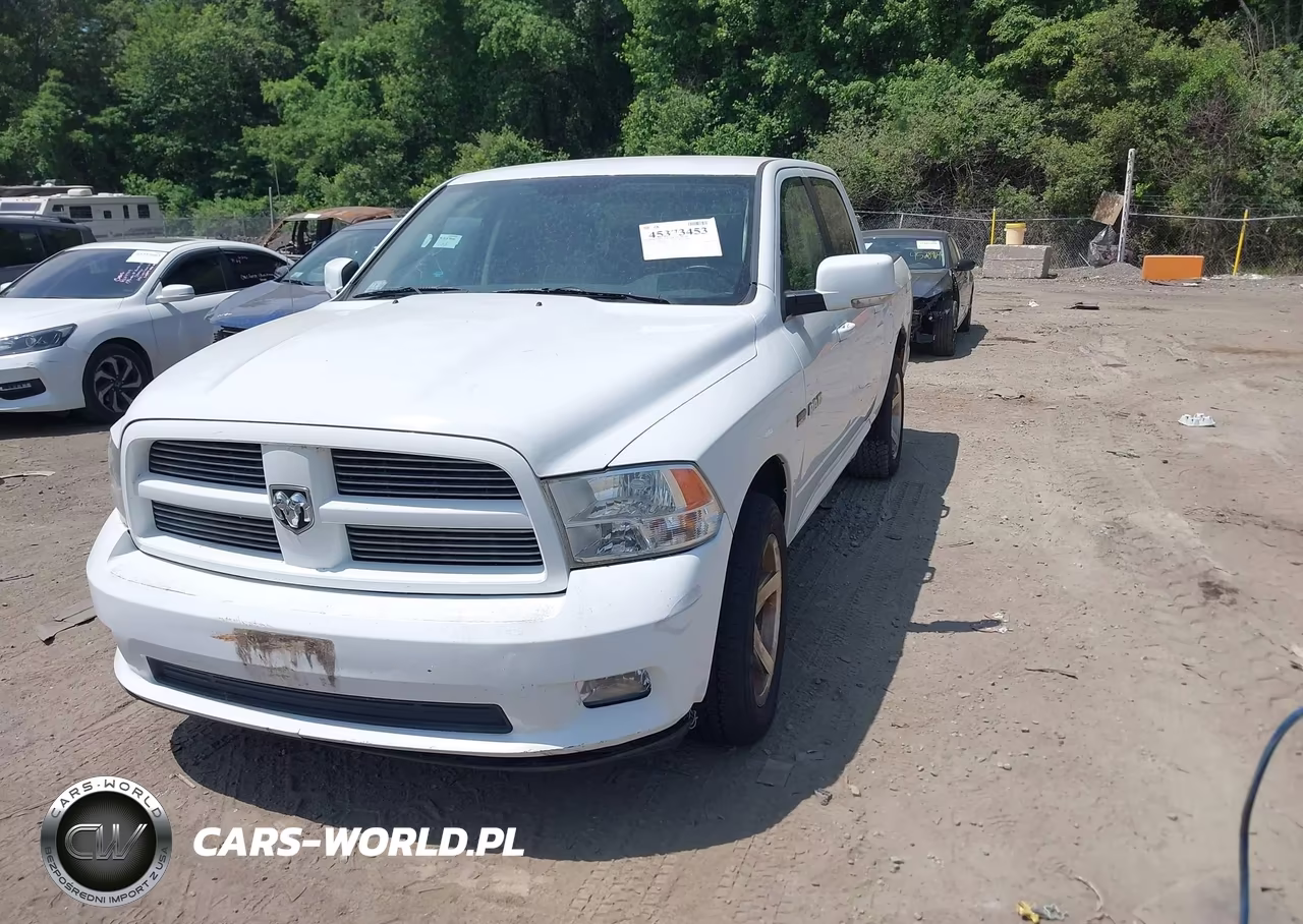 2010 Dodge Ram 1500 Slt-Sport-Trx VIN:1D7RV1CT6AS177801 - 2