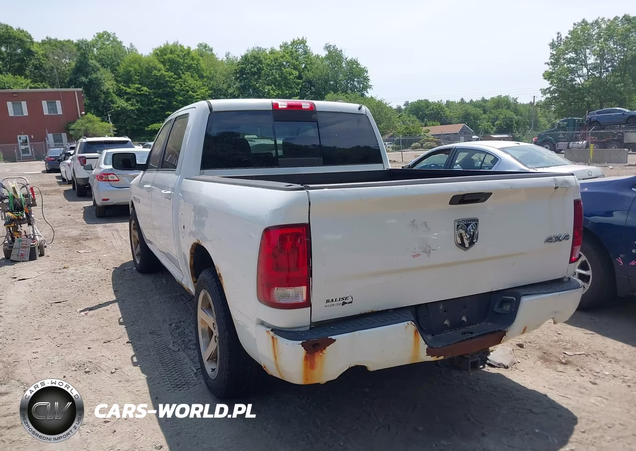 2010 Dodge Ram 1500 Slt-Sport-Trx VIN:1D7RV1CT6AS177801 - 3