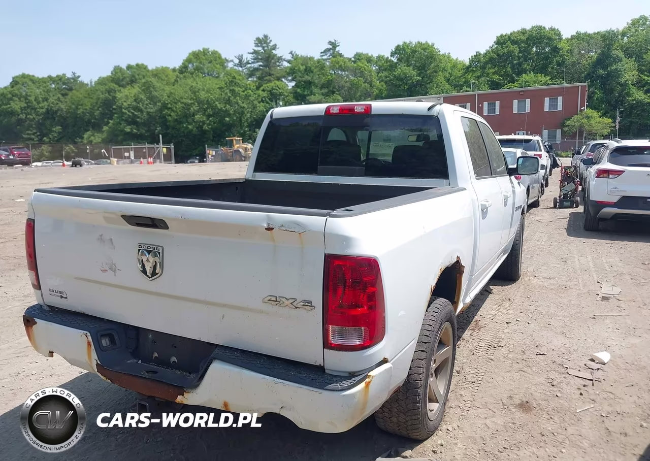 2010 Dodge Ram 1500 Slt-Sport-Trx VIN:1D7RV1CT6AS177801 - 4
