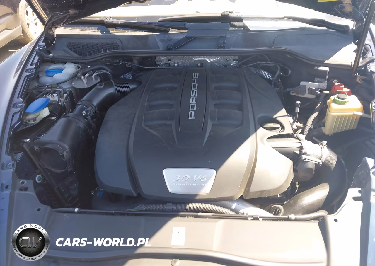2014 Porsche Cayenne Diesel VIN:WP1AF2A21ELA32037 - 10