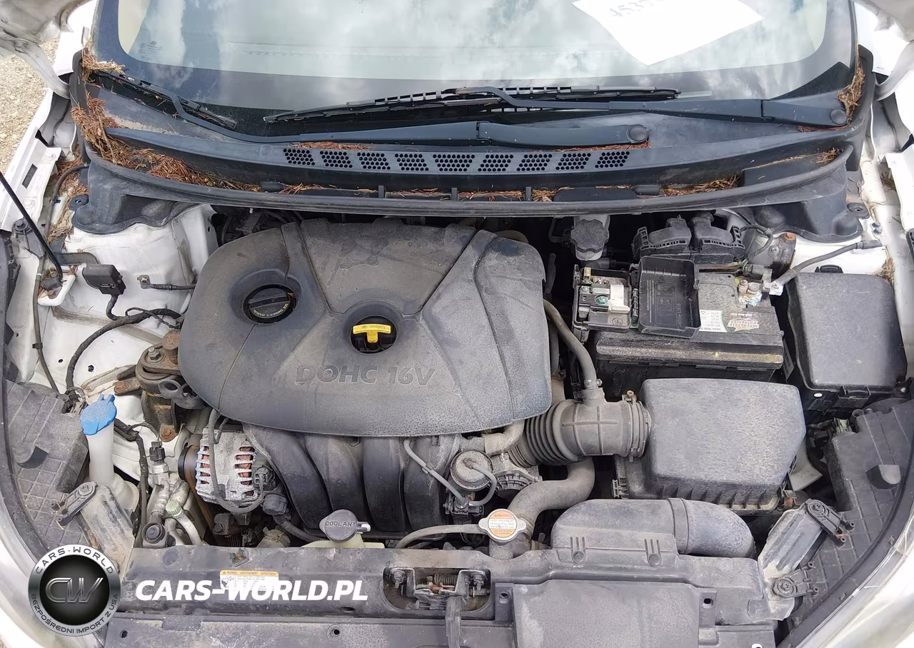 2012 Hyundai Elantra Gls VIN:5NPDH4AE7CH101944 - 10