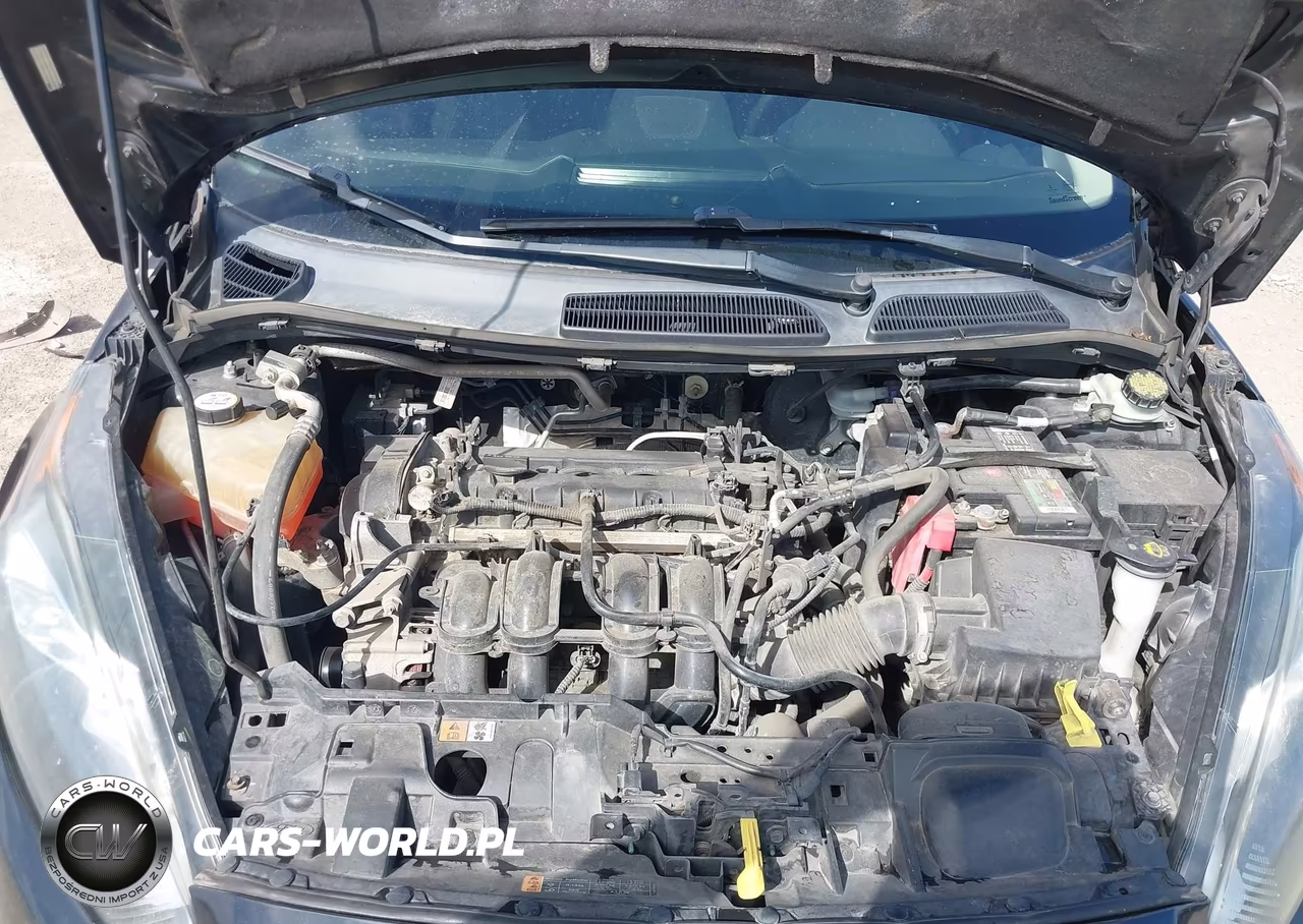 2014 Ford Fiesta Se VIN:3FADP4BJ1EM179945 - 10