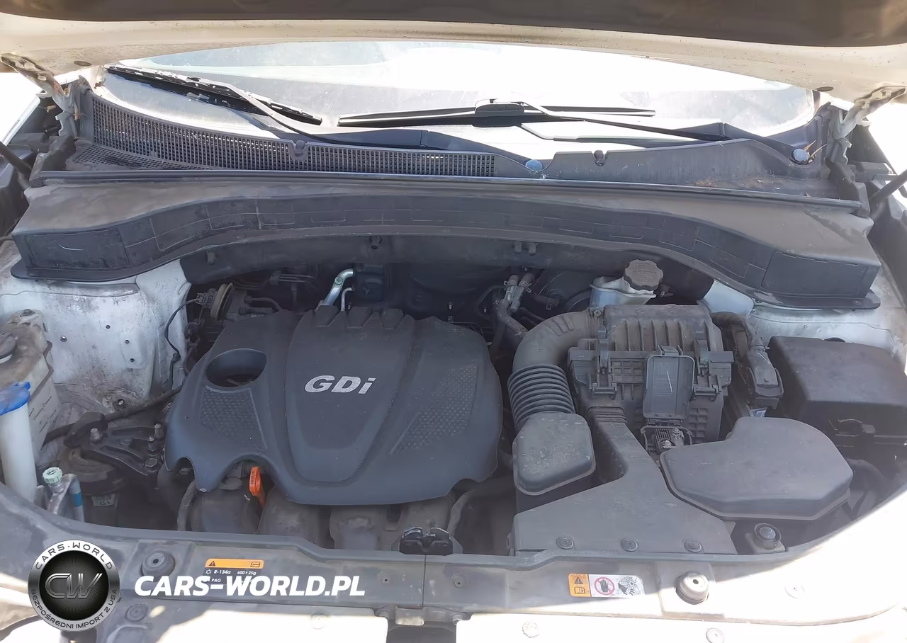 2014 Kia Sorento Lx VIN:5XYKT4A62EG485527 - 10
