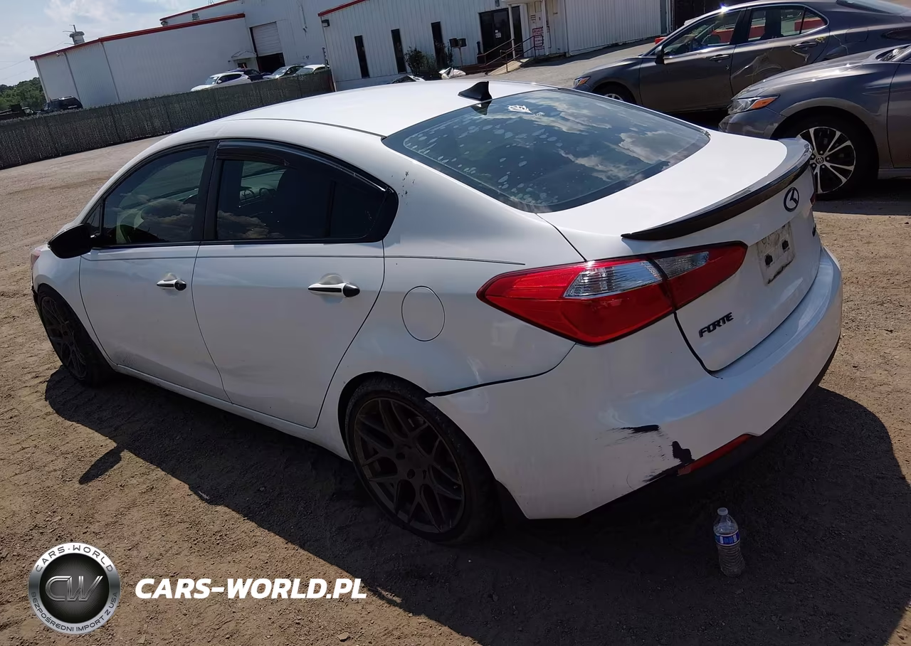 2014 Kia Forte Ex VIN:KNAFX4A83E5099289 - 3