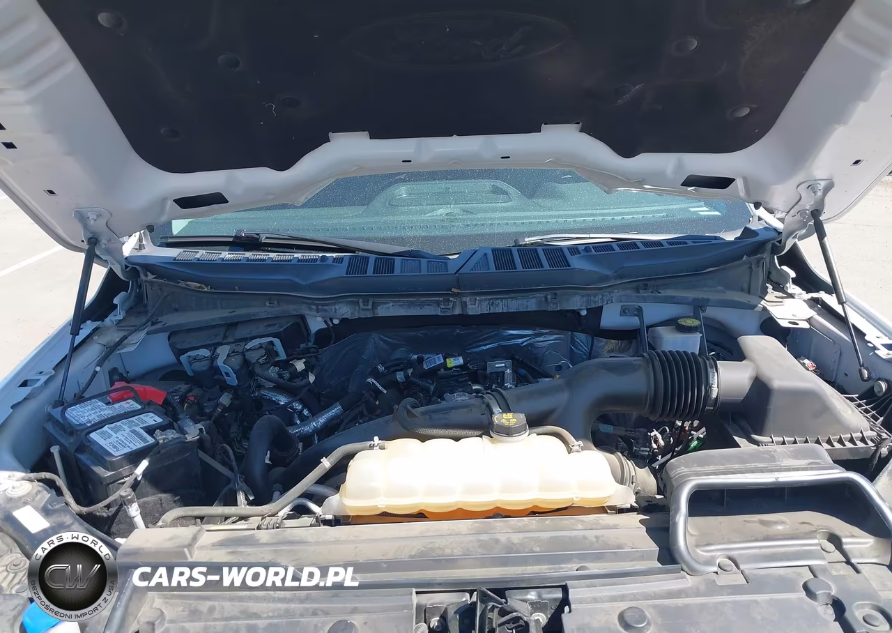 2021 Ford F-150 Xlt VIN:1FTEW1EP9MFA53217 - 10