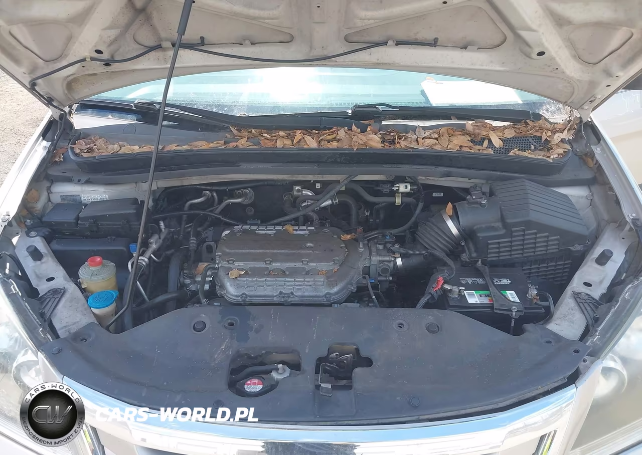 2008 Honda Odyssey Lx VIN:5FNRL38208B099356 - 10
