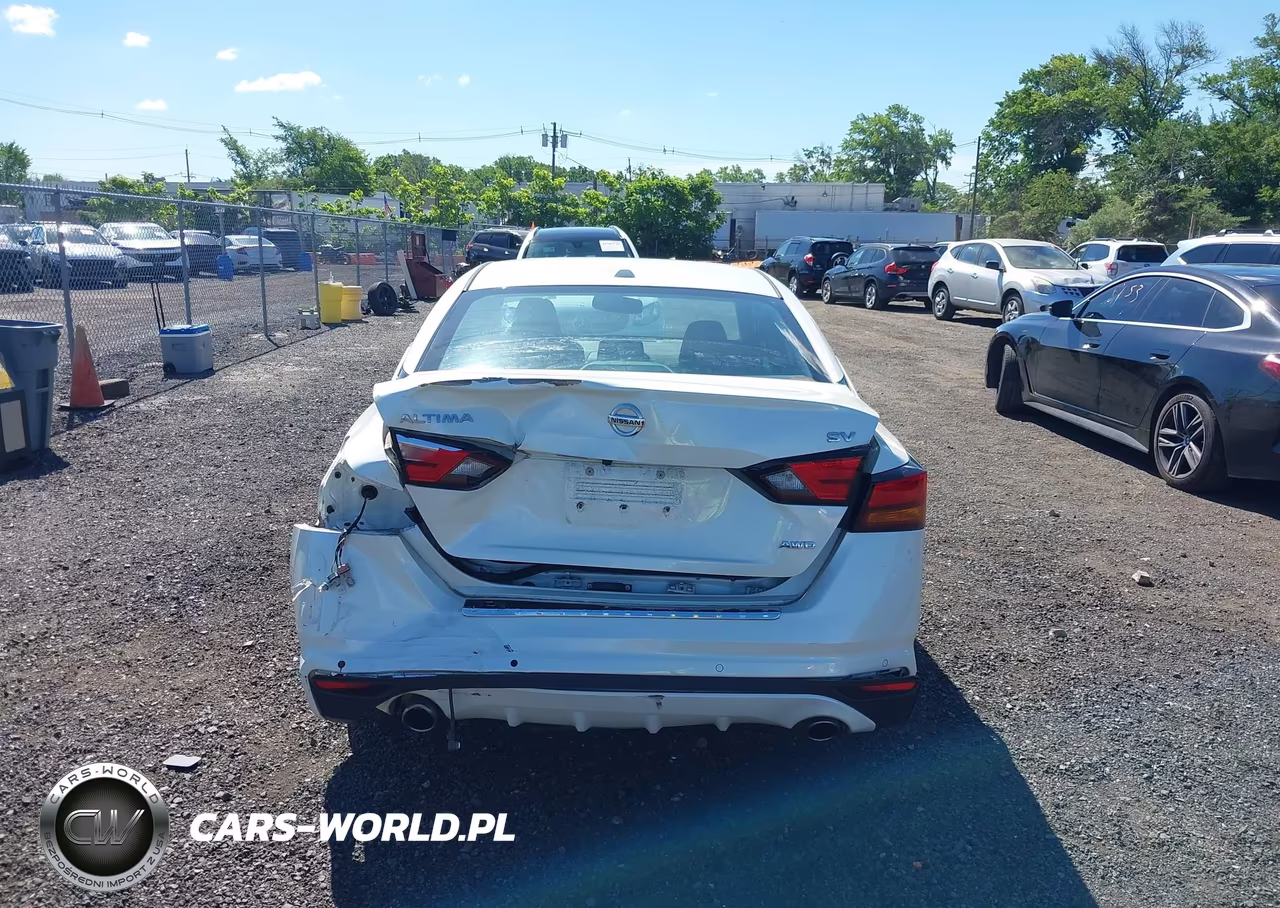 2020 Nissan Altima Sv Intelligent Awd VIN:1N4BL4DW9LC263909 - 6