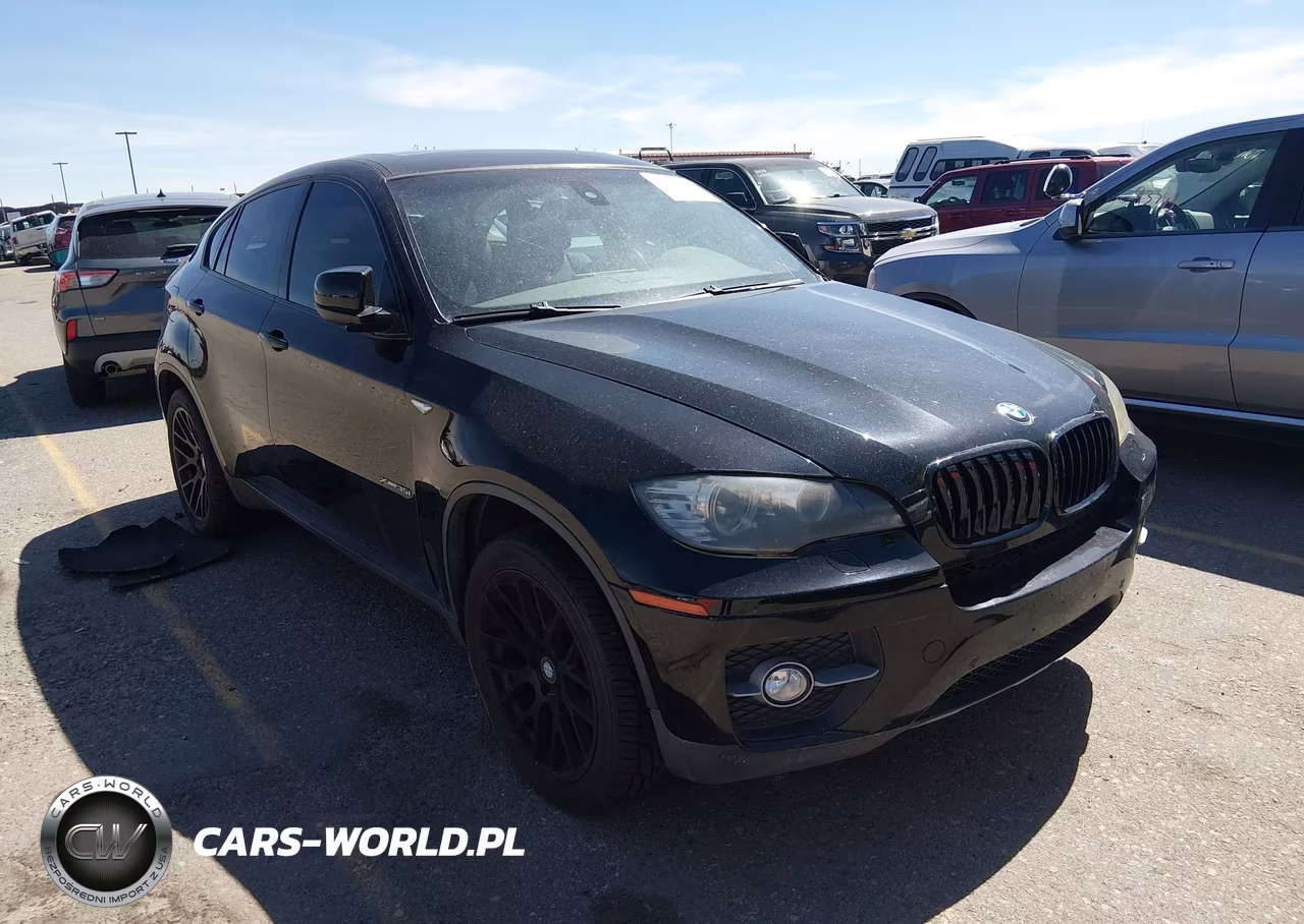 2010 BMW X6 xDrive35I