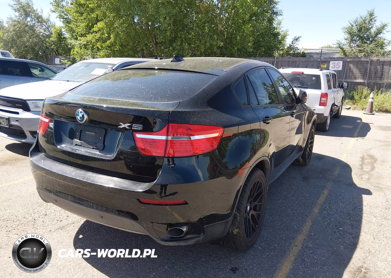 2010 BMW X6 xDrive35I VIN:5UXFG4C55AL226652 - 4