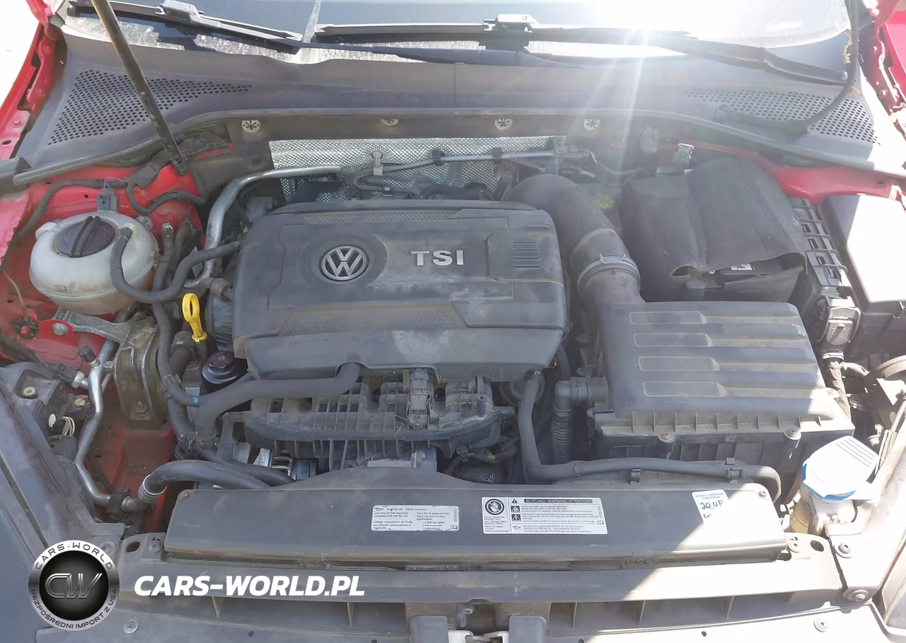 2016 Volkswagen Golf Sportwagen Tsi S 4-Door VIN:3VWC17AU7GM513044 - 10