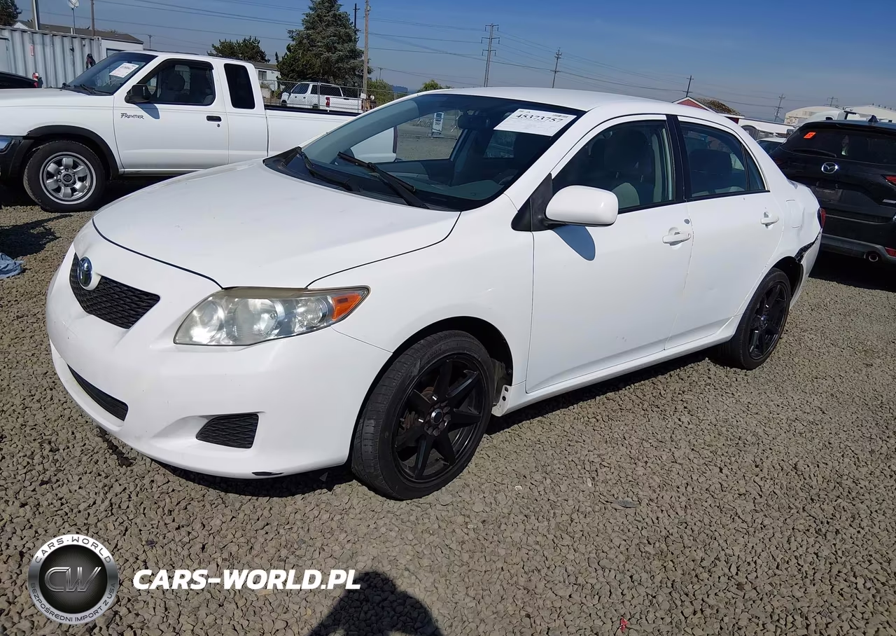 2010 Toyota Corolla Base VIN:JTDBU4EE5AJ060246 - 2