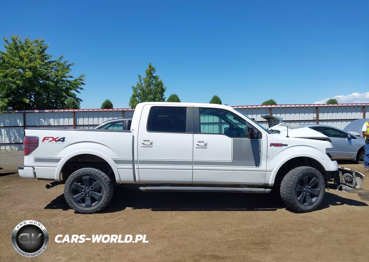 2013 Ford F-150 Fx4 VIN:1FTFW1EF6DFB45767 - 13