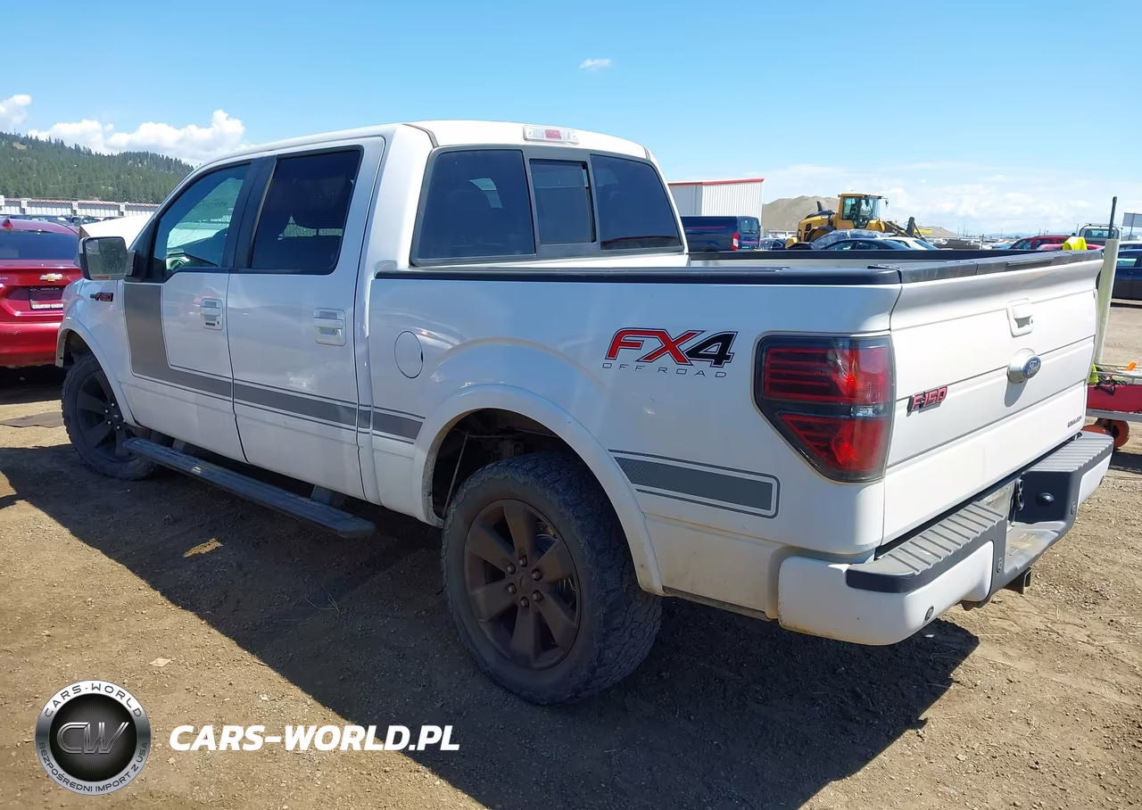 2013 Ford F-150 Fx4 VIN:1FTFW1EF6DFB45767 - 3