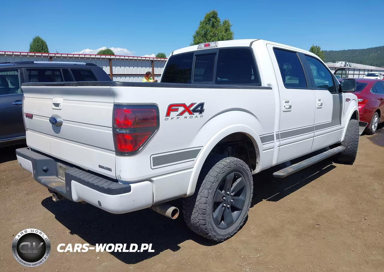 2013 Ford F-150 Fx4 VIN:1FTFW1EF6DFB45767 - 4