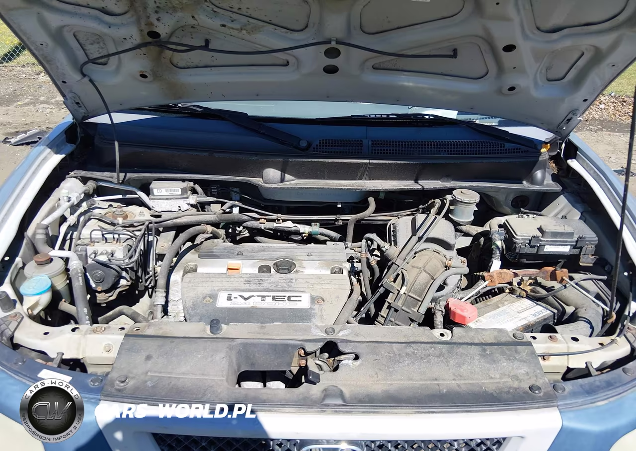 2006 Honda Element Ex VIN:5J6YH28636L022768 - 10