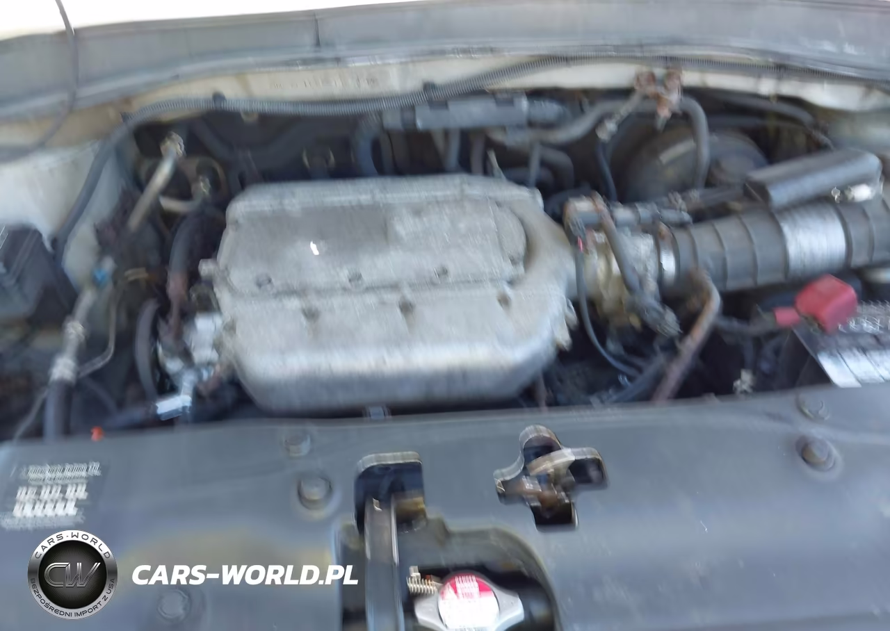 2004 Honda Pilot Ex-L VIN:2HKYF185X4H571527 - 10