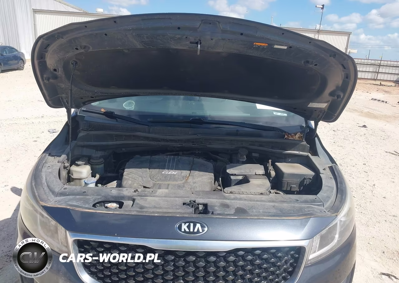 2016 Kia Sedona Lx VIN:KNDMB5C11G6089310 - 10