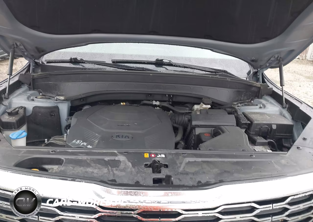 2020 Kia Telluride S VIN:5XYP6DHC4LG077228 - 10