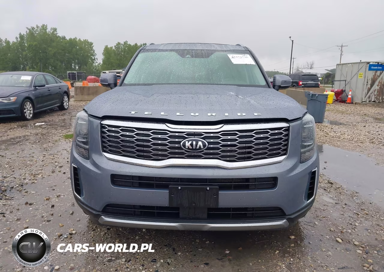 2020 Kia Telluride S VIN:5XYP6DHC4LG077228 - 12