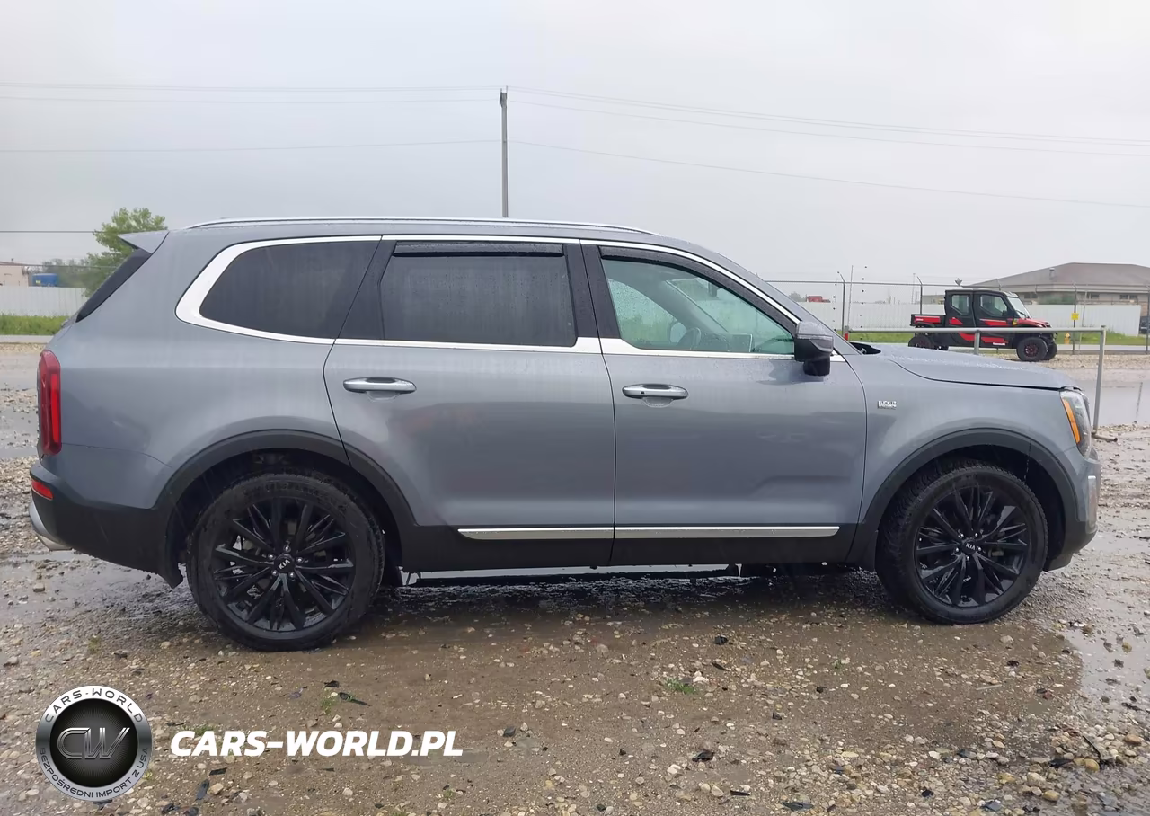 2020 Kia Telluride S VIN:5XYP6DHC4LG077228 - 13