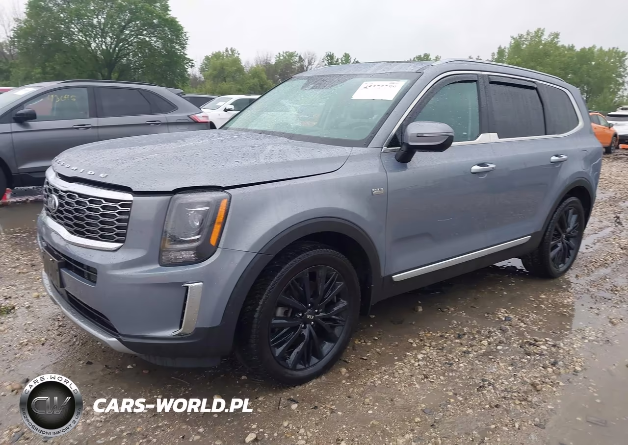 2020 Kia Telluride S VIN:5XYP6DHC4LG077228 - 2