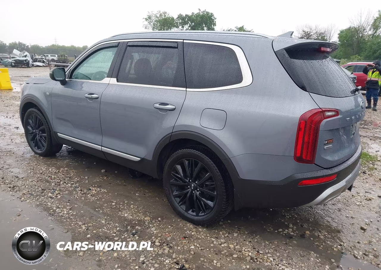 2020 Kia Telluride S VIN:5XYP6DHC4LG077228 - 3