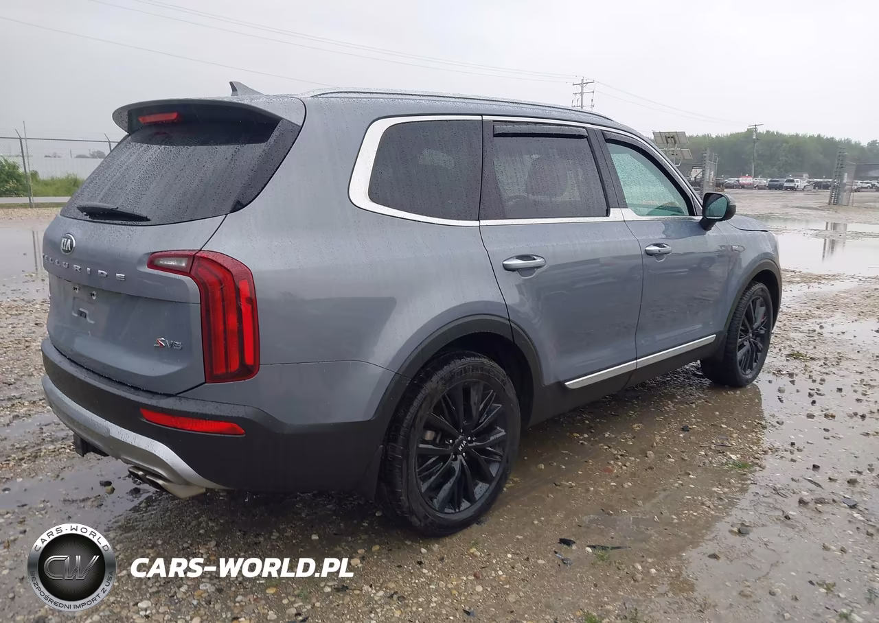 2020 Kia Telluride S VIN:5XYP6DHC4LG077228 - 4