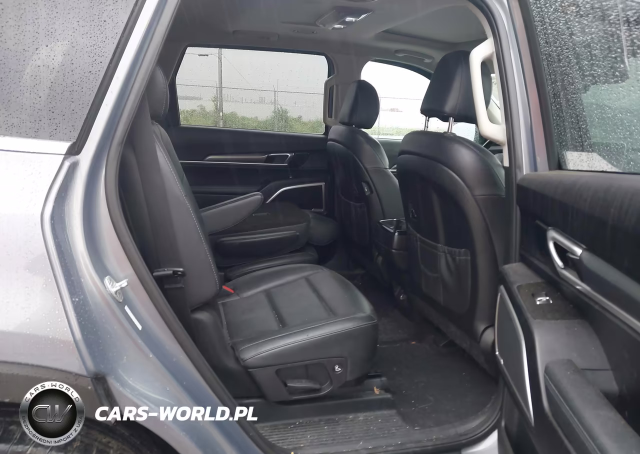 2020 Kia Telluride S VIN:5XYP6DHC4LG077228 - 8